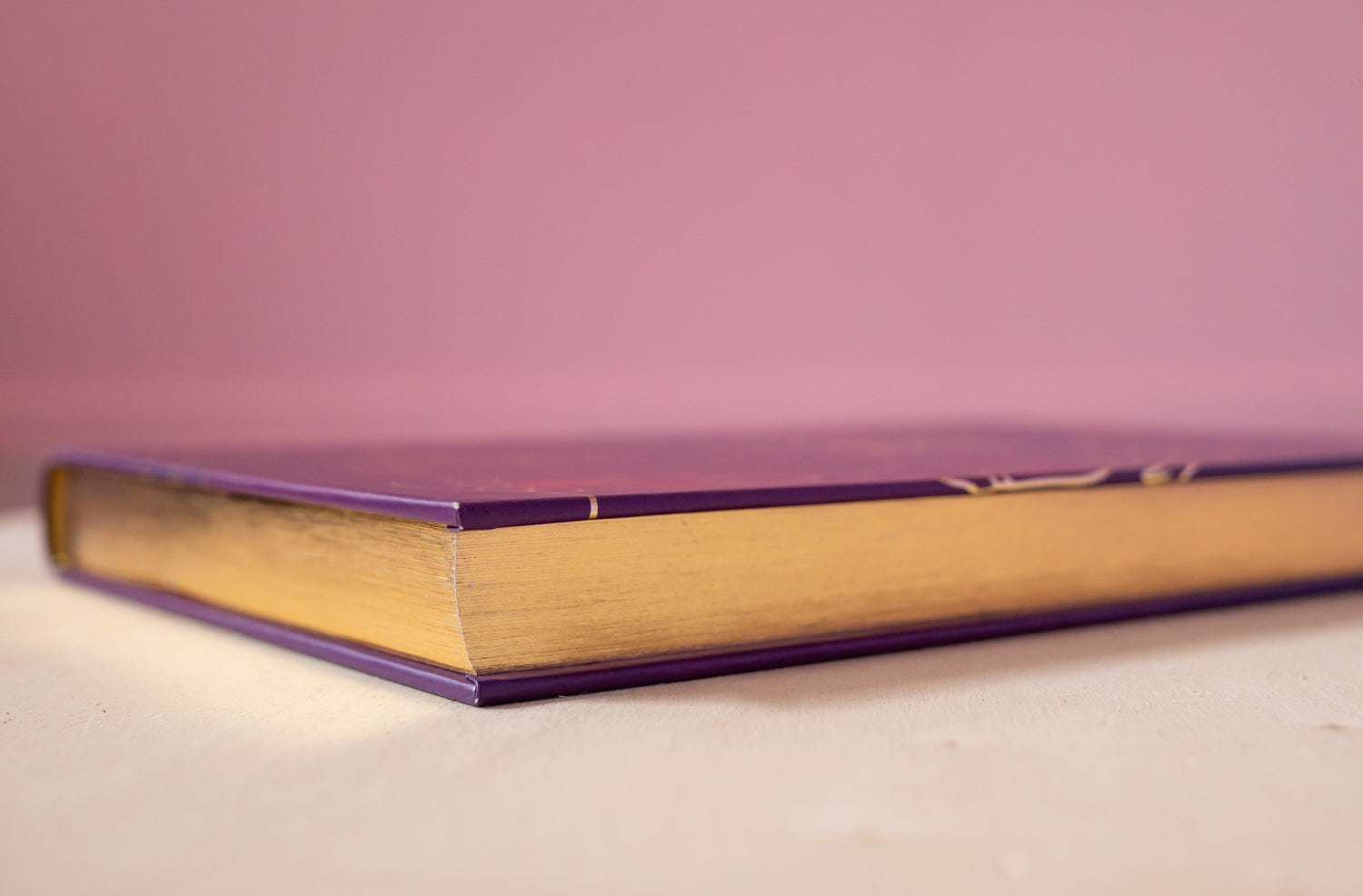 Closed copy of The Hoop Book by Hoop Hoop Hurray showing its gold-edged pages, symbolizing the creativity and beauty of hoop dance culture.